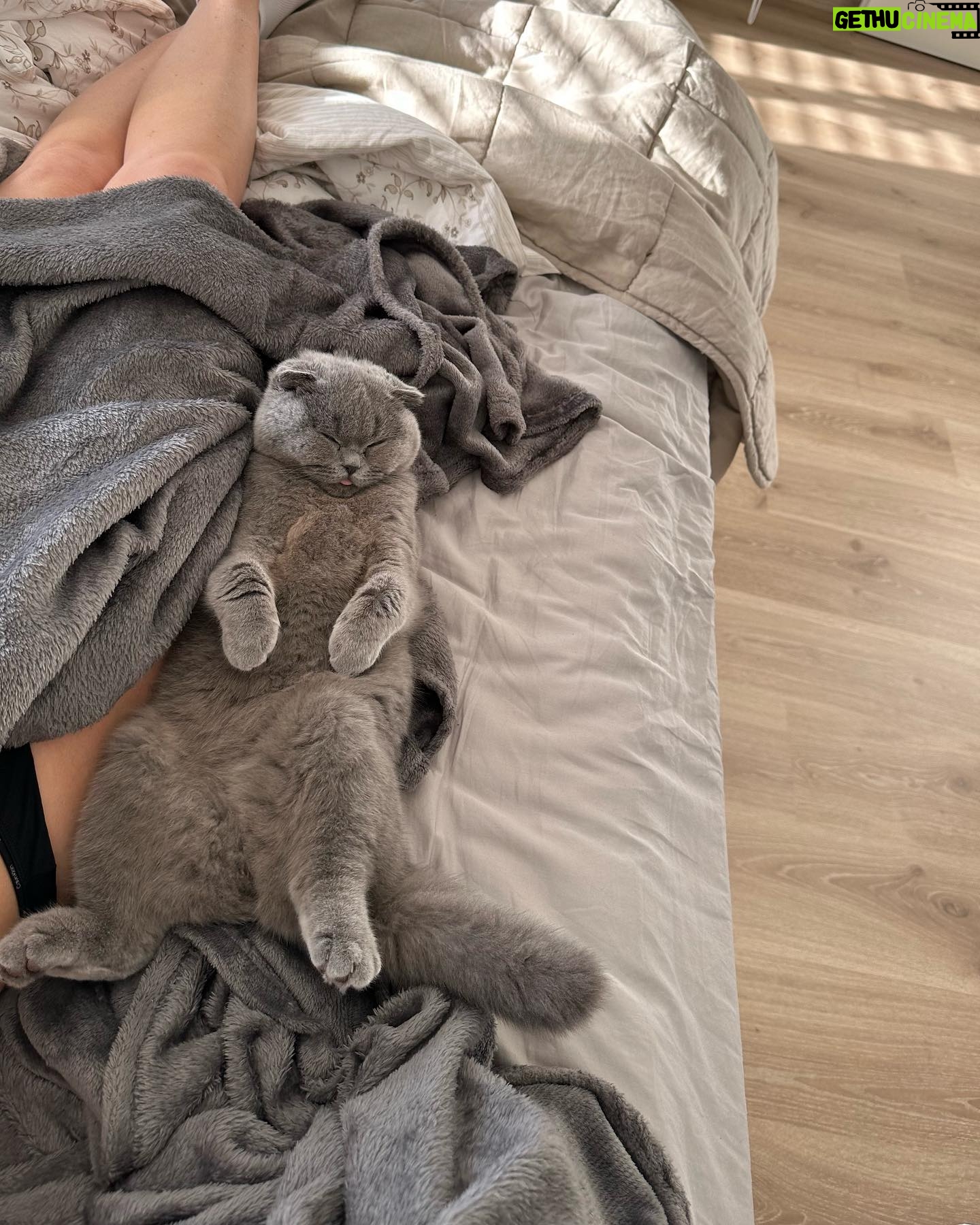 Stéphanie Clerbois Instagram - RELAX 🤍🐈⬛