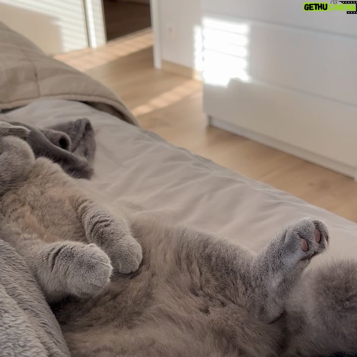 Stéphanie Clerbois Instagram - RELAX 🤍🐈⬛