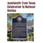 Stana Katic Instagram - Dear overseas friends, Today marks a special day in US history… Juneteenth… a step towards light from a dark past. If these events are unfamiliar to you, please read the 2nd photo. 🪻 S