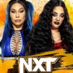 Stephanie Bell Instagram – Tomorrow night on @wwenxt it’s Crazy vs Crazy. Who’s going to the ladder match for the FIRST women’s North American Championship?! Watch tomorrow night! 

#WWE #WWENXT
