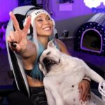 Stephanie Bell Instagram - Sorry, I can’t. I got to get back to my dog. #EnglishBulldog #TwitchPartner #PrincessJolene