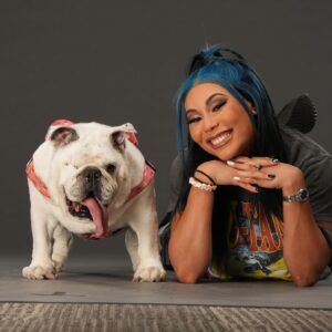 Stephanie Bell Instagram - Emotional Support. 🐶

📸 @craigambrosio 
#WWE #Smackdown #englishbulldog #PrincessJolene
