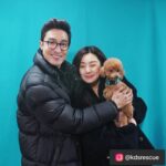 Stephanie Lee Instagram - 며칠 전 저희 코리안독스에서 60마리가 넘는 번식장 아이들을 1차 2차 3차에 걸쳐 구조했고, 그 중 3차 마지막 구조현장에서는 평소 유기견 아이들에게 마음이 남다른 다니엘 헤니씨와 @danielhenney 스테파니리씨가 @stephanielee199 함께 하였습니다. 구조를 함께 도와주시고 또 아이들 입양에 도움이 될수있도록 프로필 사진을 찍어주신 두분께 진심으로 감사드려요❤ ⠀⠀⠀⠀⠀ ------------------------------------------------------------------------------------------- ⠀⠀⠀⠀⠀ 🌸이름 : 파피 (갈색 푸들) 성별 : 여아 (중성화 完) 나이 : 6세 이상 추정 몸무게 : 4kg 처음 보는 사람에게도 무한 애정을 보내주는 사랑스러운 아이! 에너지도 엄청 넘침! 파피와 매일매일 신나는 산책을 즐겨줄 수 있는 엄마 아빠를 찾습니다! 🌸이름 : 맥스 (요크셔테리어/사진왼쪽) 성별 : 여아 (중성화 完) 나이 : 6세 이상 추정 몸무게 : 4kg 낯을 가려서 처음 보는 사람에겐 겁을 좀 내요. 하지만 그만큼 순한 성격을 가진 아이랍니다. 맘 아프게도 오랜 뜬 장 생활로 등이 살~짝 굽어 있어요. 더 이상 상처받지 않게 곁에서 잘 보살펴줄 분을 찾아요! 🌸이름 : 튼튼이 (말티즈 믹스) 성별 : 남아 나이 : 7세 이상 추정 몸무게 : 4kg 뜬 장에서 힘든 생활을 짐작할 수 있게 마르고 약해진 모습이 맘을 아프게 해요. 구조된 후 하루하루가 다르게 힘을 회복하고 있지만, 따뜻한 보금자리에서 사랑을 받으면 더 빨리 회복할 거 같아요! ⠀⠀⠀⠀⠀ ⠀⠀⠀⠀⠀ #레인보우쉼터 #다니엘헤니 #스테파니리 #코리안독스