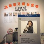 Stephanie Lee Instagram – 하나 공주와 유엄빠 바자회 다녀왔어요~🐩🐩🐩🐩🐩🐶🐶🐶🐶🐶
@youumbba  @youumbba_adopt