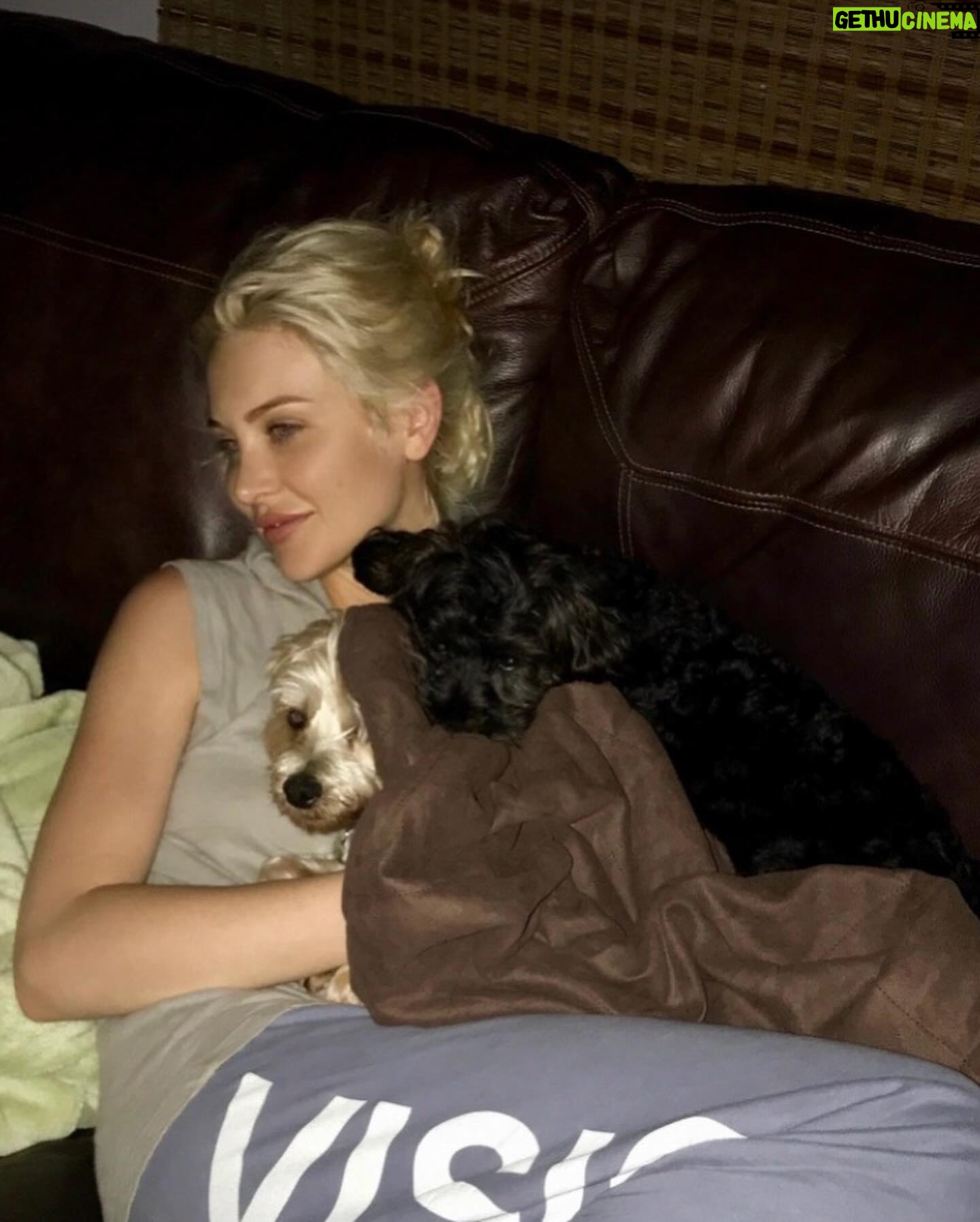 Stephanie Pratt Instagram - We lost our best friend Charlie in 2023. When I play old videos of them playing, max cries and paws at my phone. Charlie was the absolute sweetest dog. On Christmas morning 2022 he woke up completely blind. His last year on earth was absolutely miserable for all of us… he was so strong. And we kept him as happy as possible until he left us for doggy heaven. All of our hearts are still broken. Hopefully 2024 brings more peace. 🐾🐾🐾😇