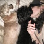 Stephanie Pratt Instagram - We lost our best friend Charlie in 2023. When I play old videos of them playing, max cries and paws at my phone. Charlie was the absolute sweetest dog. On Christmas morning 2022 he woke up completely blind. His last year on earth was absolutely miserable for all of us… he was so strong. And we kept him as happy as possible until he left us for doggy heaven. All of our hearts are still broken. Hopefully 2024 brings more peace. 🐾🐾🐾😇