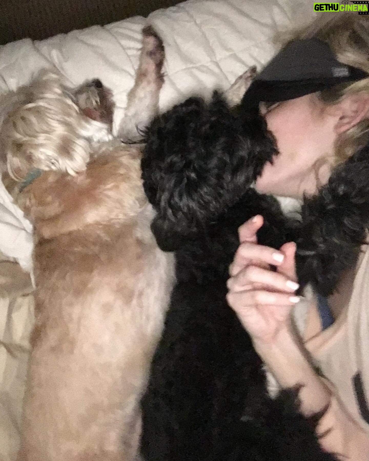 Stephanie Pratt Instagram - We lost our best friend Charlie in 2023. When I play old videos of them playing, max cries and paws at my phone. Charlie was the absolute sweetest dog. On Christmas morning 2022 he woke up completely blind. His last year on earth was absolutely miserable for all of us… he was so strong. And we kept him as happy as possible until he left us for doggy heaven. All of our hearts are still broken. Hopefully 2024 brings more peace. 🐾🐾🐾😇