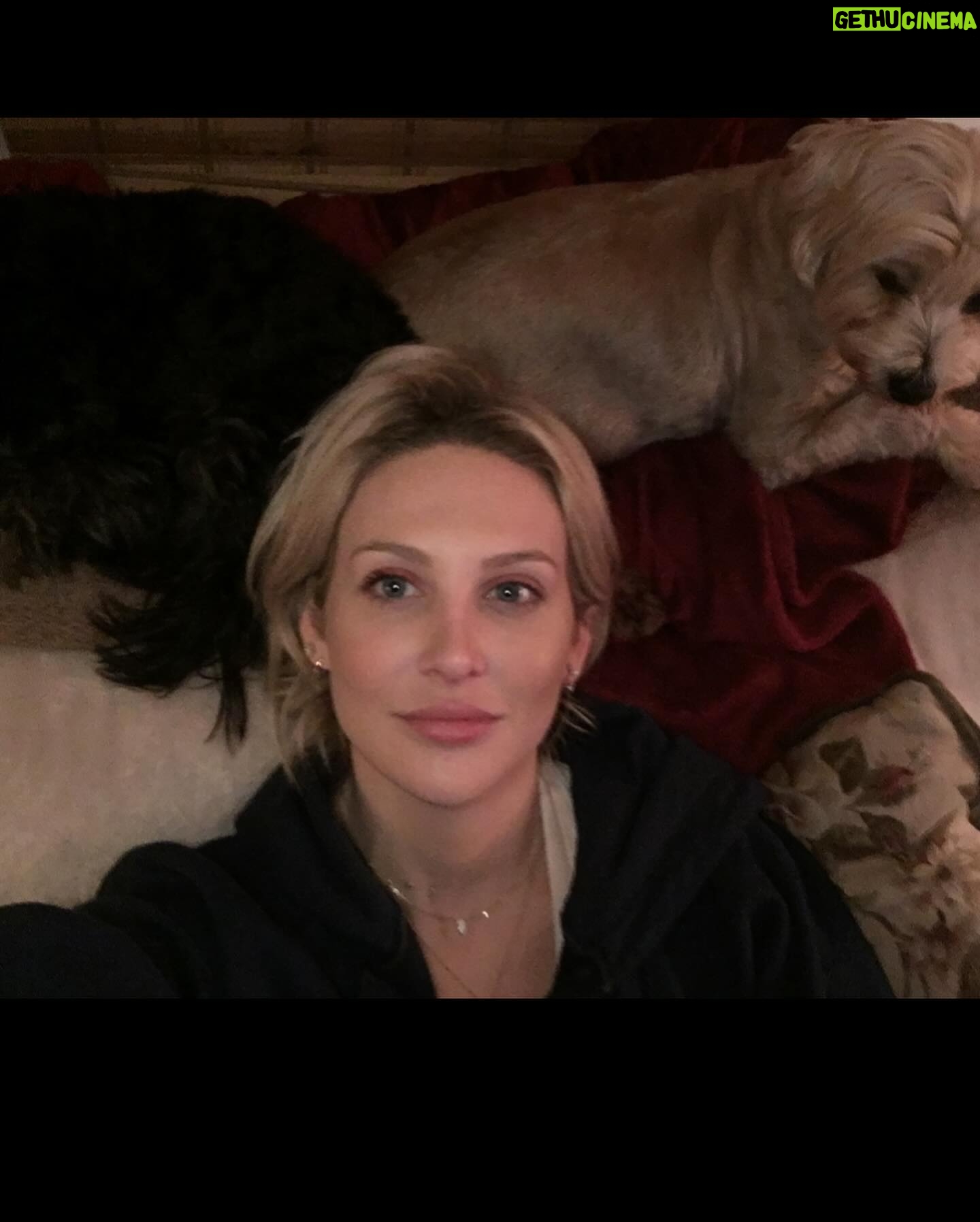 Stephanie Pratt Instagram - We lost our best friend Charlie in 2023. When I play old videos of them playing, max cries and paws at my phone. Charlie was the absolute sweetest dog. On Christmas morning 2022 he woke up completely blind. His last year on earth was absolutely miserable for all of us… he was so strong. And we kept him as happy as possible until he left us for doggy heaven. All of our hearts are still broken. Hopefully 2024 brings more peace. 🐾🐾🐾😇