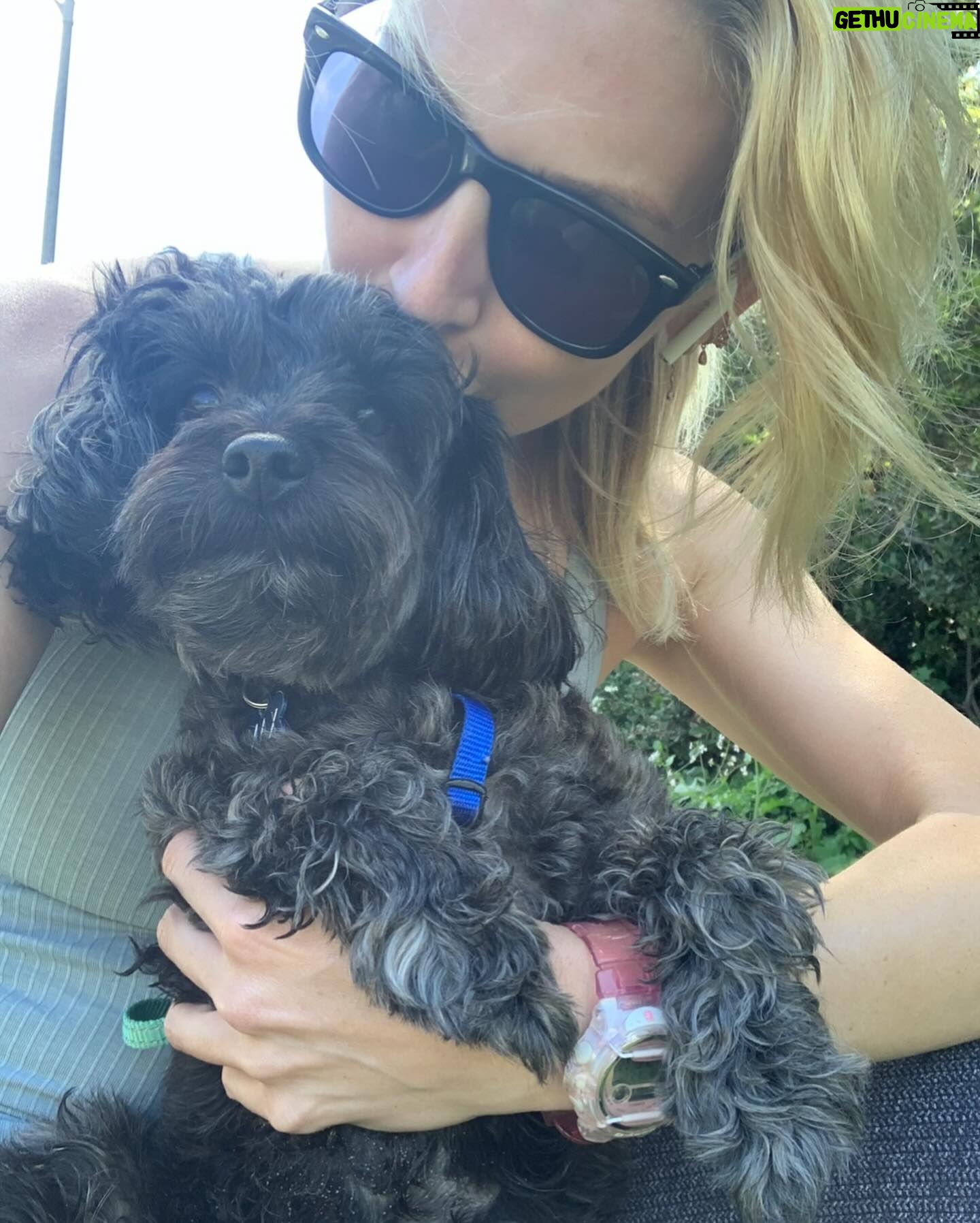 Stephanie Pratt Instagram - We lost our best friend Charlie in 2023. When I play old videos of them playing, max cries and paws at my phone. Charlie was the absolute sweetest dog. On Christmas morning 2022 he woke up completely blind. His last year on earth was absolutely miserable for all of us… he was so strong. And we kept him as happy as possible until he left us for doggy heaven. All of our hearts are still broken. Hopefully 2024 brings more peace. 🐾🐾🐾😇