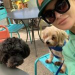 Stephanie Pratt Instagram - We lost our best friend Charlie in 2023. When I play old videos of them playing, max cries and paws at my phone. Charlie was the absolute sweetest dog. On Christmas morning 2022 he woke up completely blind. His last year on earth was absolutely miserable for all of us… he was so strong. And we kept him as happy as possible until he left us for doggy heaven. All of our hearts are still broken. Hopefully 2024 brings more peace. 🐾🐾🐾😇