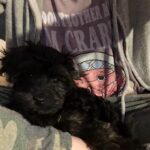 Stephanie Pratt Instagram - Happy New Year!!!! And Happy 6th Birthday to my little noodle head named Max ❤️🐶 he’s the best boy I’ve met from Essex 😂. My best friend and my favorite travel buddy ❤️ he’s with me literally every second and has been on about 40 flights with me in the past 7 years & He has permanent shotgun in my car 🚗. If I’m not his pillow, he’s mine for every nap and night. He is the greatest gift everyday. ❤️❤️❤️❤️❤️❤️❤️❤️ you guys noticed his tag says Henry… when I filed his paperwork I chose the name Henry, but when I brought him home… he seemed much more like a “Max.” I actually named him after “Max Burger” in Sweden- bc it was the best burger 🍔 I’ve ever had 😂🤣😂. So officially on his passport is Max Henry 😂🥰