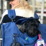 Stephanie Pratt Instagram - Happy New Year!!!! And Happy 6th Birthday to my little noodle head named Max ❤️🐶 he’s the best boy I’ve met from Essex 😂. My best friend and my favorite travel buddy ❤️ he’s with me literally every second and has been on about 40 flights with me in the past 7 years & He has permanent shotgun in my car 🚗. If I’m not his pillow, he’s mine for every nap and night. He is the greatest gift everyday. ❤️❤️❤️❤️❤️❤️❤️❤️ you guys noticed his tag says Henry… when I filed his paperwork I chose the name Henry, but when I brought him home… he seemed much more like a “Max.” I actually named him after “Max Burger” in Sweden- bc it was the best burger 🍔 I’ve ever had 😂🤣😂. So officially on his passport is Max Henry 😂🥰