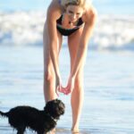 Stephanie Pratt Instagram - Happy New Year!!!! And Happy 6th Birthday to my little noodle head named Max ❤️🐶 he’s the best boy I’ve met from Essex 😂. My best friend and my favorite travel buddy ❤️ he’s with me literally every second and has been on about 40 flights with me in the past 7 years & He has permanent shotgun in my car 🚗. If I’m not his pillow, he’s mine for every nap and night. He is the greatest gift everyday. ❤️❤️❤️❤️❤️❤️❤️❤️ you guys noticed his tag says Henry… when I filed his paperwork I chose the name Henry, but when I brought him home… he seemed much more like a “Max.” I actually named him after “Max Burger” in Sweden- bc it was the best burger 🍔 I’ve ever had 😂🤣😂. So officially on his passport is Max Henry 😂🥰
