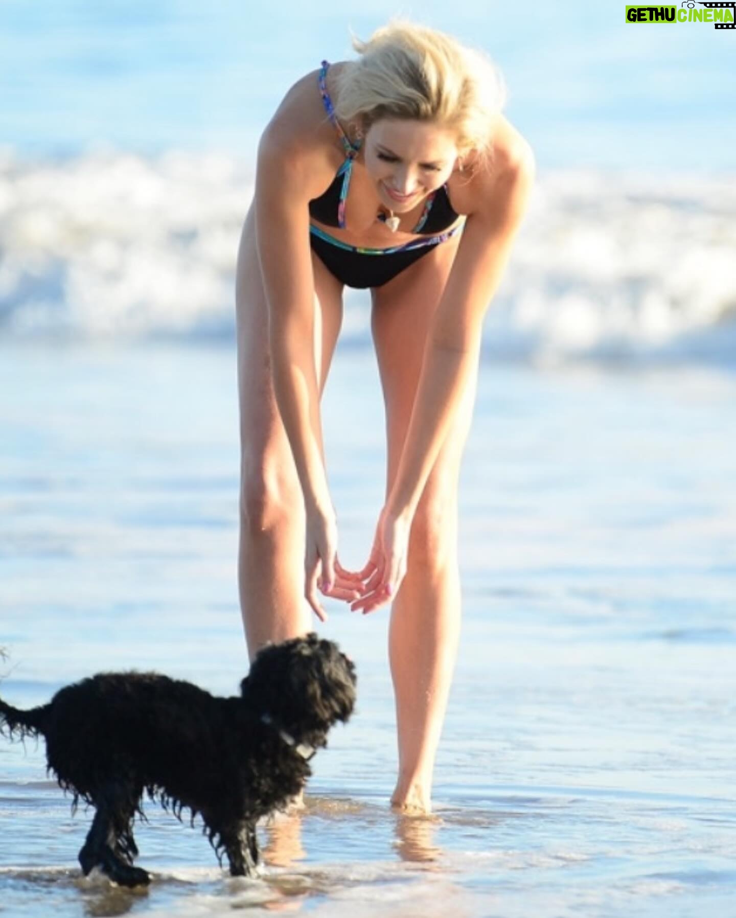 Stephanie Pratt Instagram - Happy New Year!!!! And Happy 6th Birthday to my little noodle head named Max ❤️🐶 he’s the best boy I’ve met from Essex 😂. My best friend and my favorite travel buddy ❤️ he’s with me literally every second and has been on about 40 flights with me in the past 7 years & He has permanent shotgun in my car 🚗. If I’m not his pillow, he’s mine for every nap and night. He is the greatest gift everyday. ❤️❤️❤️❤️❤️❤️❤️❤️ you guys noticed his tag says Henry… when I filed his paperwork I chose the name Henry, but when I brought him home… he seemed much more like a “Max.” I actually named him after “Max Burger” in Sweden- bc it was the best burger 🍔 I’ve ever had 😂🤣😂. So officially on his passport is Max Henry 😂🥰