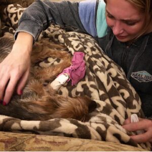 Stephanie Pratt Instagram - The world is a sadder place without you. My final moments with my little girl, Keke. She fought so hard with her Little pacemaker. 11-27-18 absolutely shattered