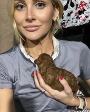 Stephanie Pratt Instagram - I can’t think of a caption for all of these photos, because it literally was the BEST WEEKEND EVER!! I want to re-live it over and over again ✨🙌🏻🐎🥳💖🥰👯‍♀️🍝🥂🎉 so so so GOOD!! I met the most fabulous people, horses and puppies!! 🐶 💜. This trip was such a gift 💕 there was never a dull moment with @michaelamariewhitaker @georgewhitaker9 @chloeaston_official @dallamiresstables @_jasminesophie @richardmsquire @perdi.digby @hadleyclarke_20 @justinresnik 😇😍 (and their parents) 🤣😜. Prague here we come!!!! You better have cranberry juice!! 😅