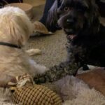 Stephanie Pratt Instagram - This is friendship
