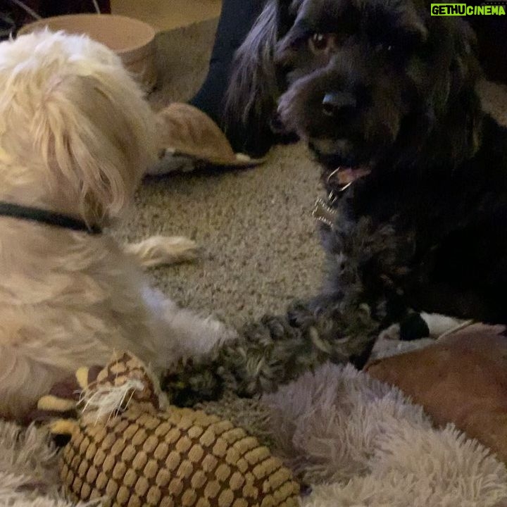 Stephanie Pratt Instagram - This is friendship
