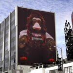 Stephanie Shepherd Instagram - a new era @gammamedia