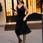 Stephanie Shepherd Instagram - something about paris in the caption.