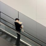 Stephanie Shepherd Instagram - binx’s big adventure 🥲
