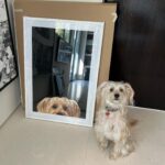 Stephanie Shepherd Instagram - 🎨