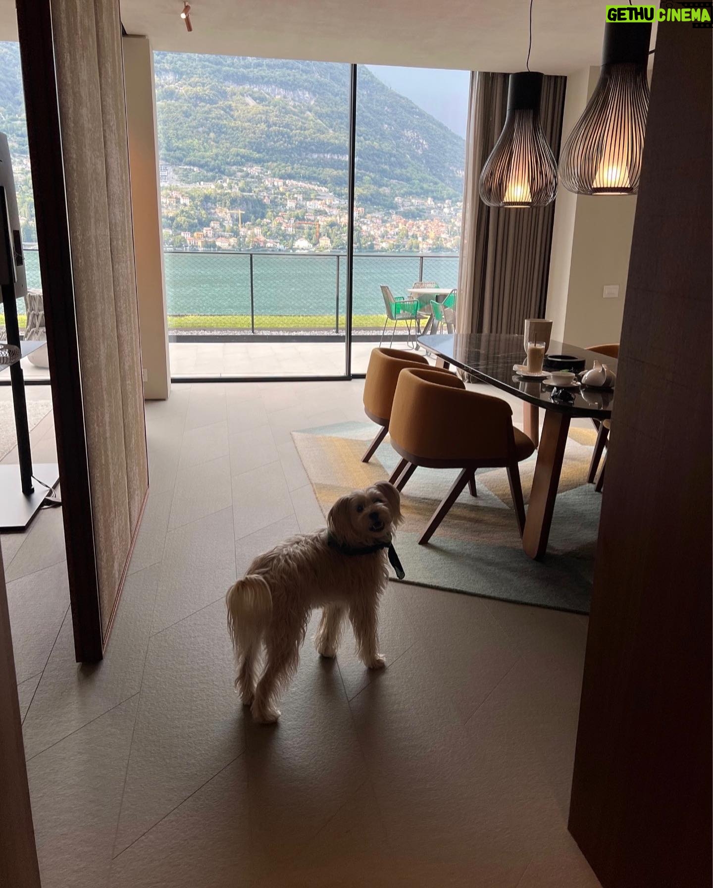 Stephanie Shepherd Instagram - binx’s big adventure 🥲