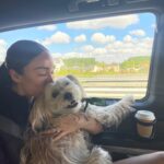 Stephanie Shepherd Instagram - binx’s big adventure 🥲