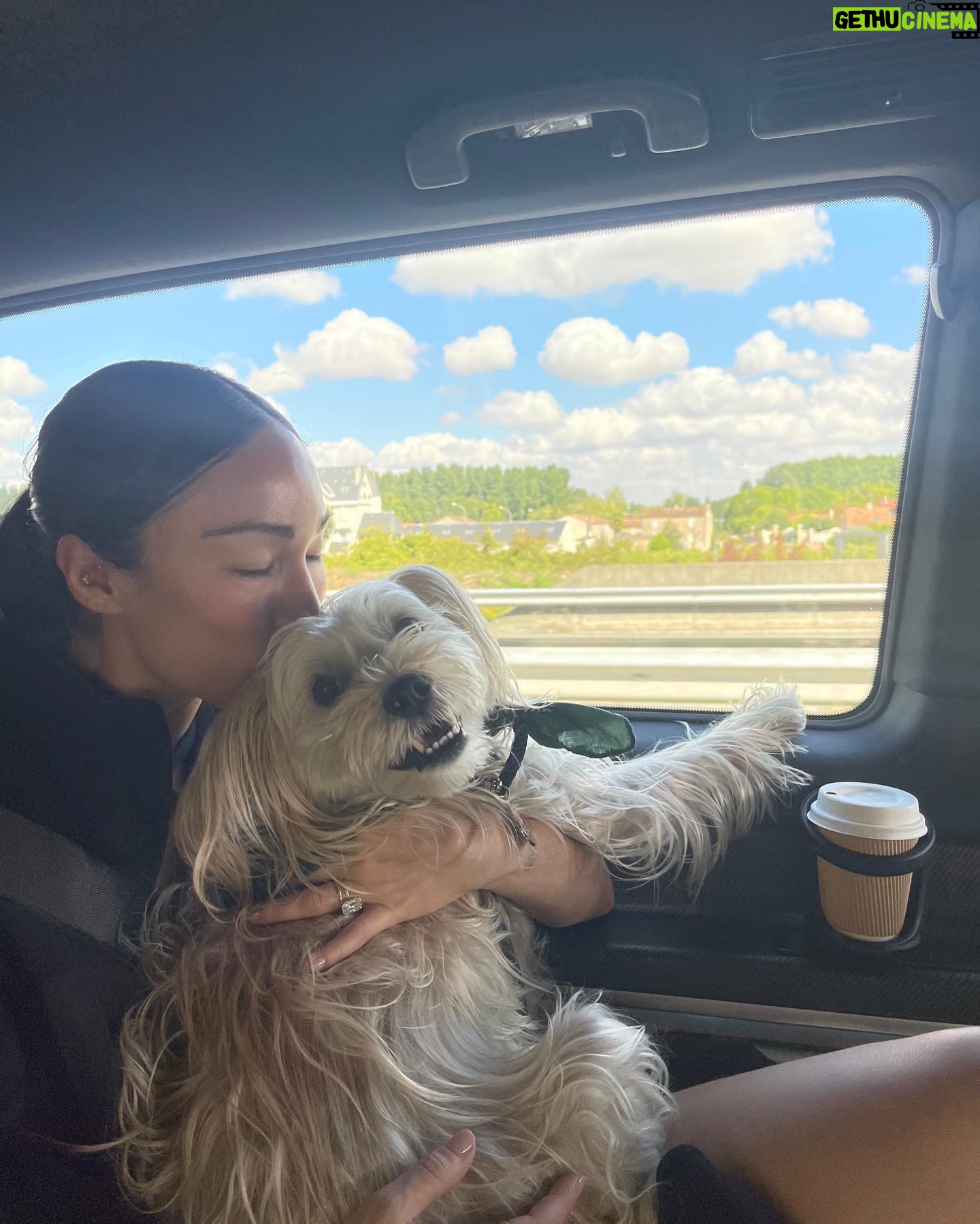 Stephanie Shepherd Instagram - binx’s big adventure 🥲