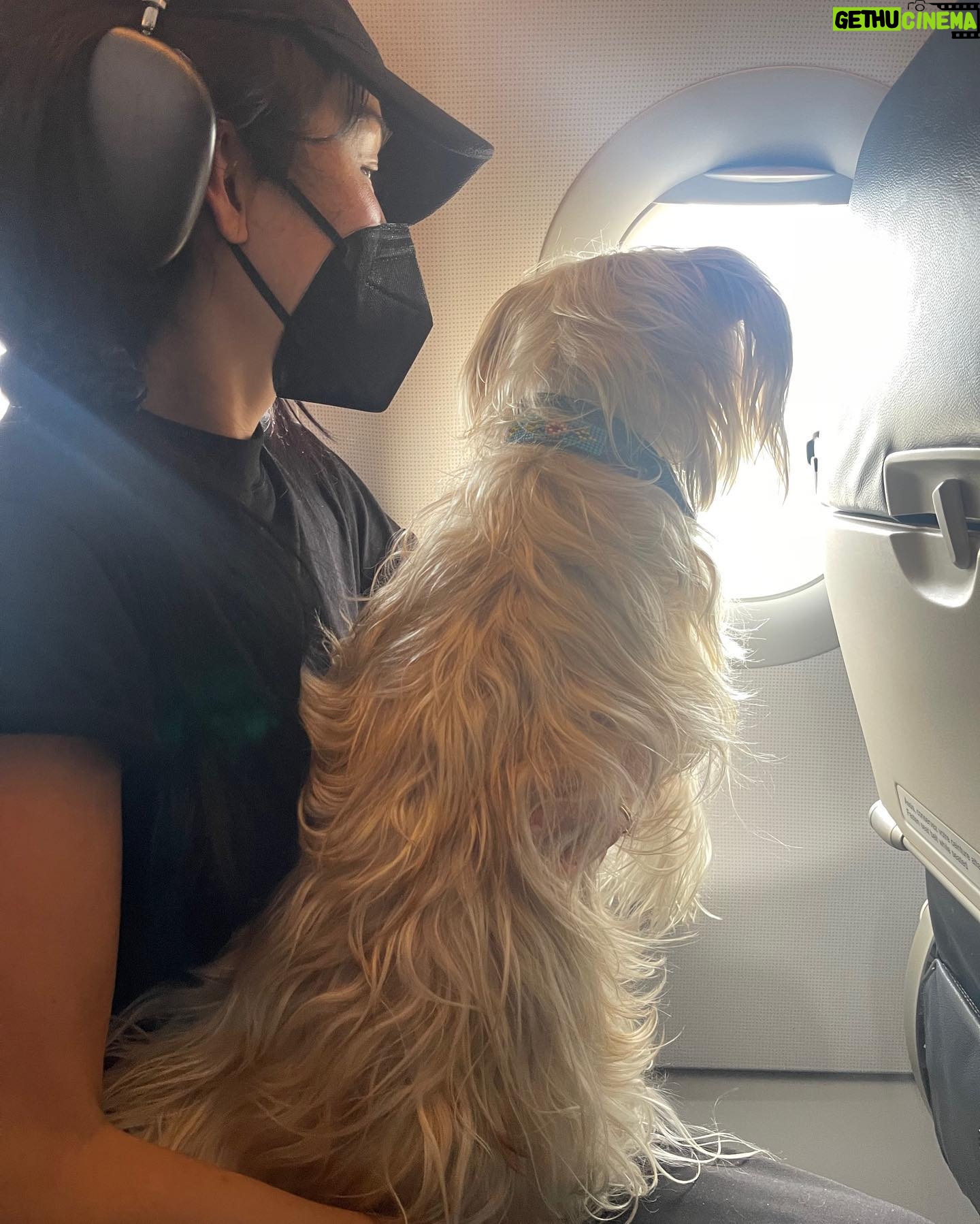 Stephanie Shepherd Instagram - binx’s big adventure 🥲