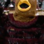 Sue Bird Instagram - The Hawk will never die.