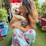 Sukriti Kakar Instagram - Happy 5th birthday to our whole world.. POPCORN! you make our world go round.. i never expected to fall in love like the way you made us.. you literally make our hearts melt everyday 😩 every single day since you came into our lives have been full of happiness and celebration.. thank you for choosing us.. I LOVE U my little cloud. I hope you keep smiling and doing happy hops forever and ever.. 😭🤍❤️ @popcornkakar