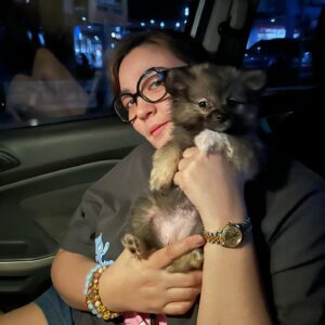 Sunshine Dizon Instagram - #gogi #bulgogithepom