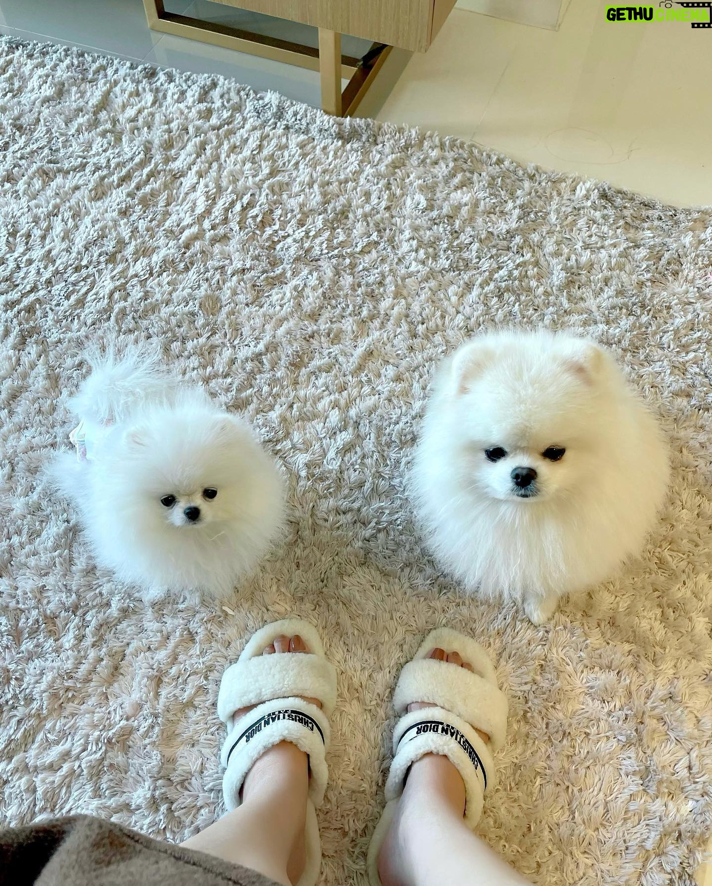 Sunshine Guimary Instagram - 😁iba tlga ang saya hatid nila., my little family,here in manila😁