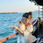 Supassra Thanachat Instagram - 🐶🚤🌊 Boat rental service through @yachtmethailand @lefongarkad 🚤✨