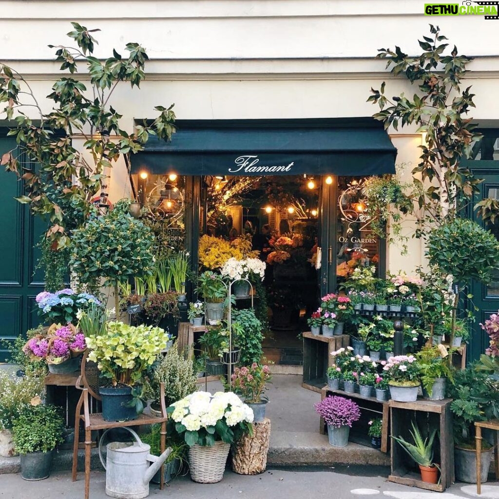 Susan Sarandon Instagram - Paris 🌷