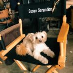 Susan Sarandon Instagram – This.