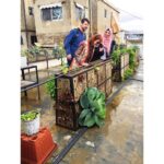 Susan Sarandon Instagram - Growing their own vegetables on the roof of Soufra Kitchen.