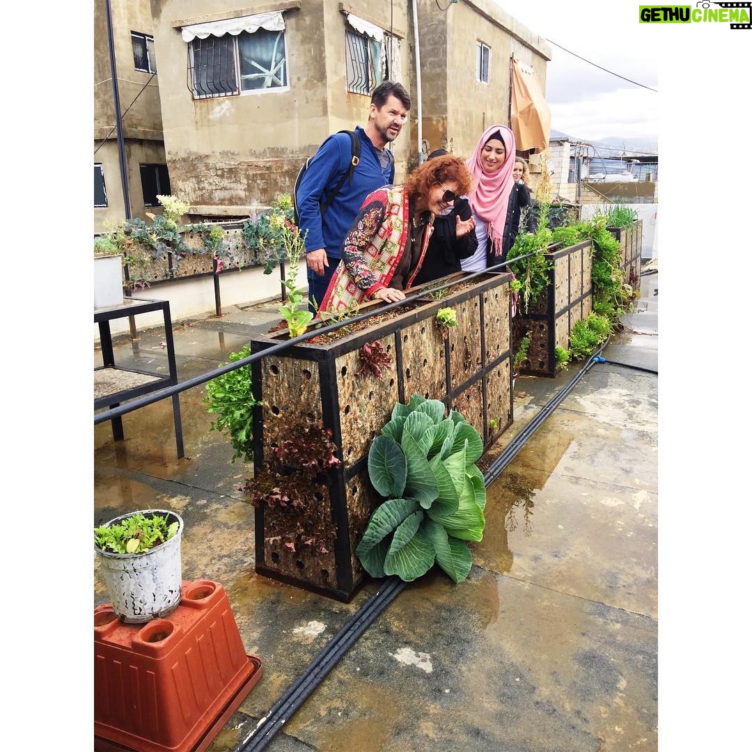 Susan Sarandon Instagram - Growing their own vegetables on the roof of Soufra Kitchen.