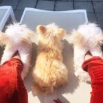 Susan Sarandon Instagram – Sunny day with the gals courtesy of @smilesguthrie