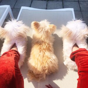 Susan Sarandon Instagram - Sunny day with the gals courtesy of @smilesguthrie