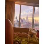 Susan Sarandon Instagram - Morning ✌🏻