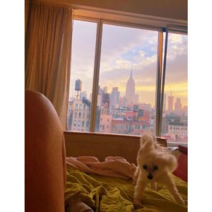 Susan Sarandon Instagram - Morning ✌🏻