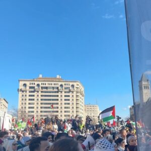 Susan Sarandon Instagram - Standing with the hundreds of thousands of people for Palestine in Washington, DC today. We must bear witness until Palestine is free. More than 23,357 killed & at least 10K of those were children. Ceasefire now.