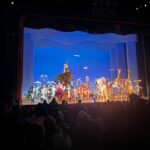 Susan Sarandon Instagram - Brought the grandkids to @thelionking . My 4th time and I still wept at the first number. What a treat. Thank you @carlile1 @thefredberman