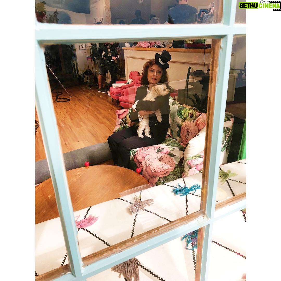 Susan Sarandon Instagram - Had so much fun frosting cupcakes with @athomewithamysedaris and Penny. Check it out tomorrow (Tuesday) night at 10/9c on @trutv.
