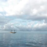 Susan Sarandon Instagram -