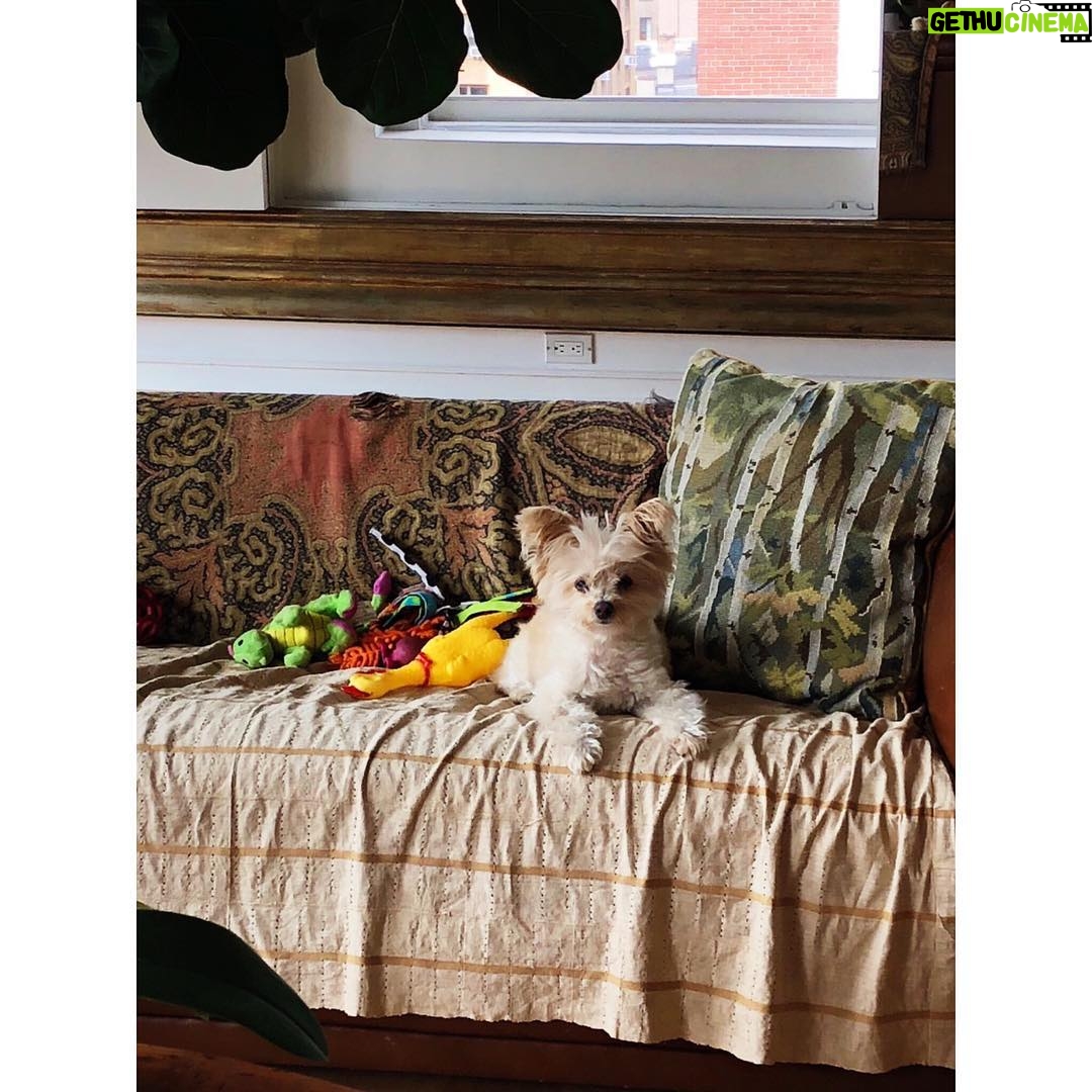 Susan Sarandon Instagram - Good morning and thank you to all you Beautiful Souls sending your support. I love you.