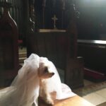 Susan Sarandon Instagram – Penny said yes to the dress.