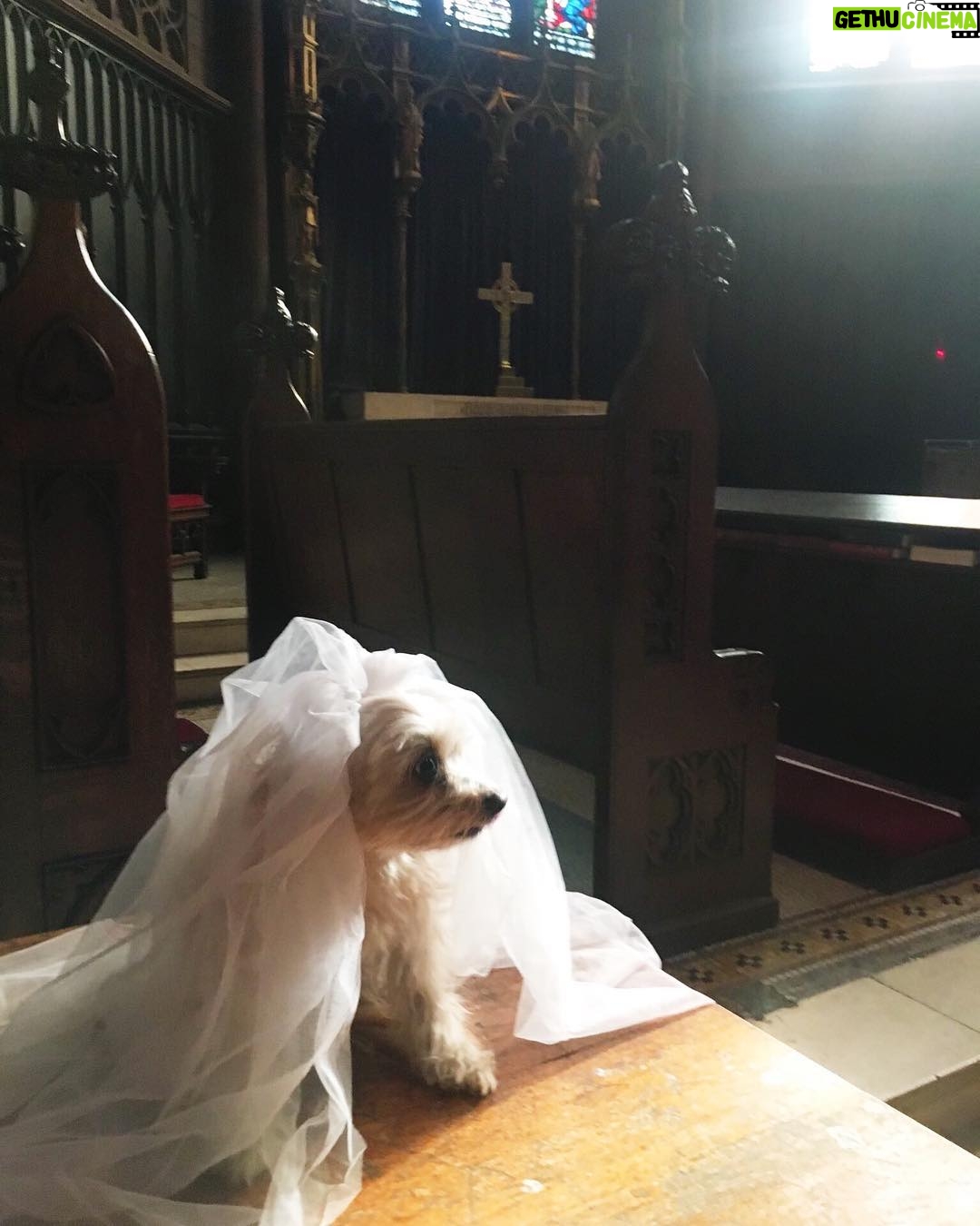 Susan Sarandon Instagram - Penny said yes to the dress.